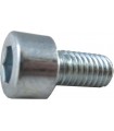 Tornillo cilíndrico M6x12