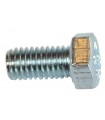 Tornillo hexagonal M5x10-8.8